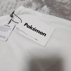 レディースTシャツの画像
