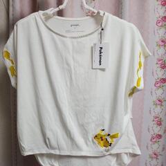 レディースTシャツの画像