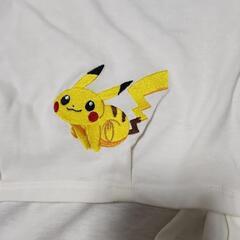 レディースTシャツの画像