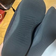 allbirds オールバーズ スニーカー 靴の画像