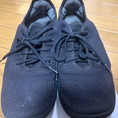 allbirds オールバーズ スニーカー 靴の画像