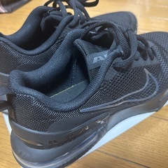 NIKE ナイキ エアマックス スニーカー 靴の画像
