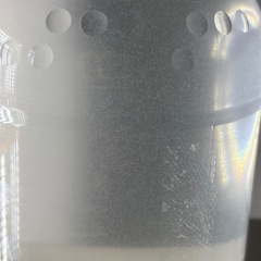 ゾウリムシ　めだかの針子の餌の画像