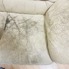 追加画像 3人掛けソファ の画像