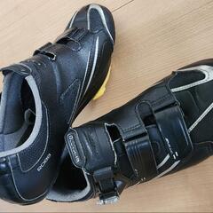 Shimano RP3 + SpeadPlayセットの画像