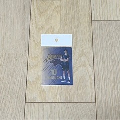 山内晶大選手　バレーボールの画像