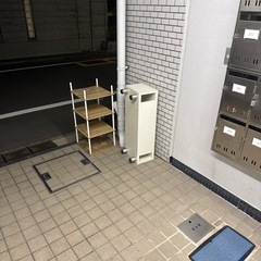 テレビの画像