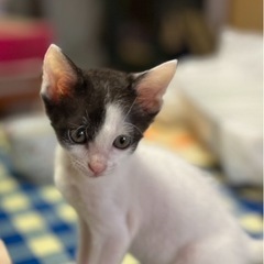 愛嬌があり、人が大好き❣️