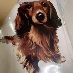 オリジナルtシャツ作成 送料込安価ですの画像