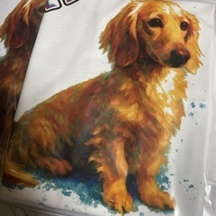 オリジナルtシャツ作成 送料込安価ですの画像