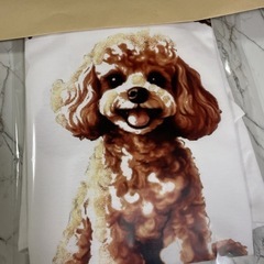 オリジナルtシャツ作成 送料込安価ですの画像