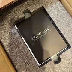  EcoFlow エコフロー ポータブル電源 DELTA2    防災グッズの画像