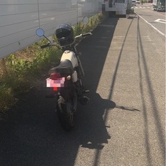 エイプ100の画像