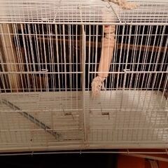 鳥かごの画像