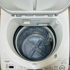 ヤマダ 2023年製洗濯機の画像