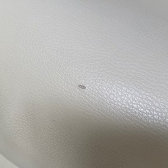 2人掛けソファ 本皮　アイボリーの画像