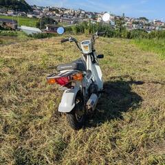 ホンダ　シャリー 12Vの画像