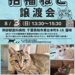 8/3(日)柏市保護猫譲渡会　ずっとのお家♡家族募集中！