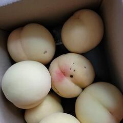 赤磐市の桃 自宅用 清水白桃の画像
