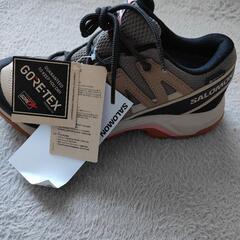 SALOMON 24.5cmの画像
