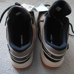 SALOMON 24.5cmの画像