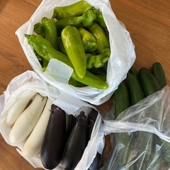 家庭菜園　夏野菜の画像