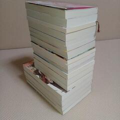 小説　17冊の画像