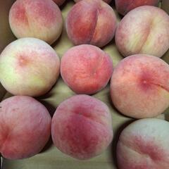 小玉桃2キロの画像
