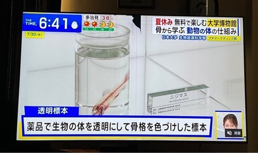 液晶テレビ REGZA 65Z670N