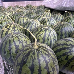 【尾花沢みらい農園】手頃なサイズの美味しい尾花沢スイカ🍉(第8回)の画像