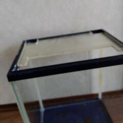 水槽　小型の画像
