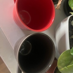 ペアーマグカップの画像