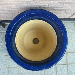 青い陶器の植木鉢の画像