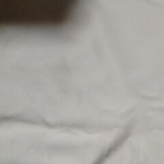 川越白ゆり幼稚園の体操着の画像