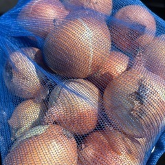 購入予定者決定。野菜詰め合わせの画像