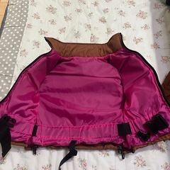 子供　子供　ライフジャケットの画像