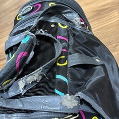 猫用キャリーバッグ　受け渡し決定の画像