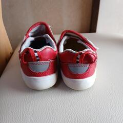 IFME 14.5cmの画像