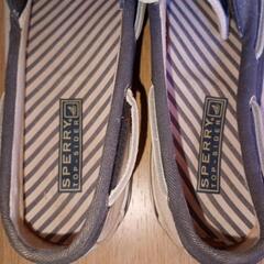 TOP-SIDERスニーカーの画像
