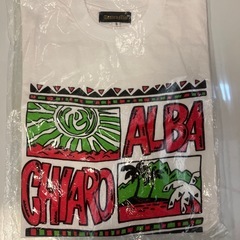 【お渡し済み】Ｔシャツ２枚の画像
