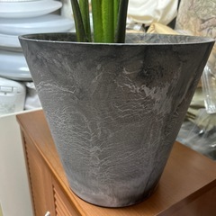 フェイクグリーン　モンステラ　の画像