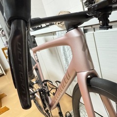 スペシャライズド　Tarmac SL8 EXPART 2024年モデル　サイズ56の画像