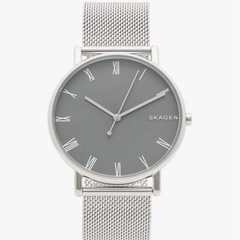 SKAGEN 腕時計(ジャンク)の画像