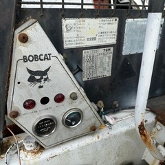 TCM725ボブキャットの画像