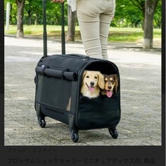犬用キャリーバッグの画像