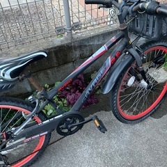 24インチ
子供用自転車の画像