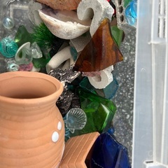 水槽の画像