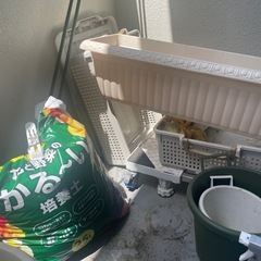園芸品の画像