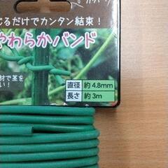 0730-100 やらわか バンドの画像