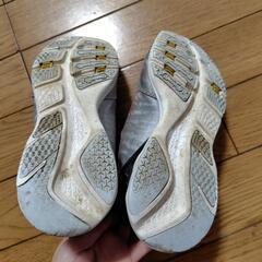 20.5EE SUPERSTAR スニーカーの画像